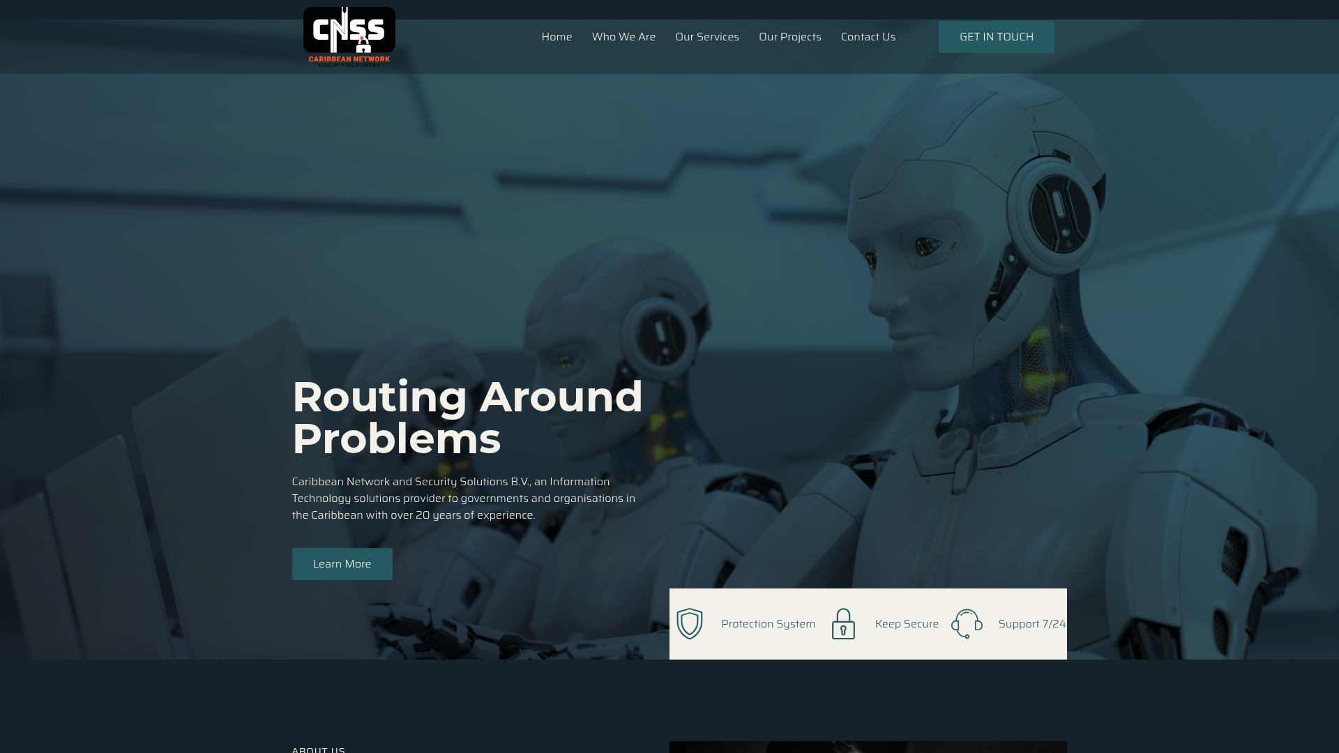 CN Security Solutions website preview