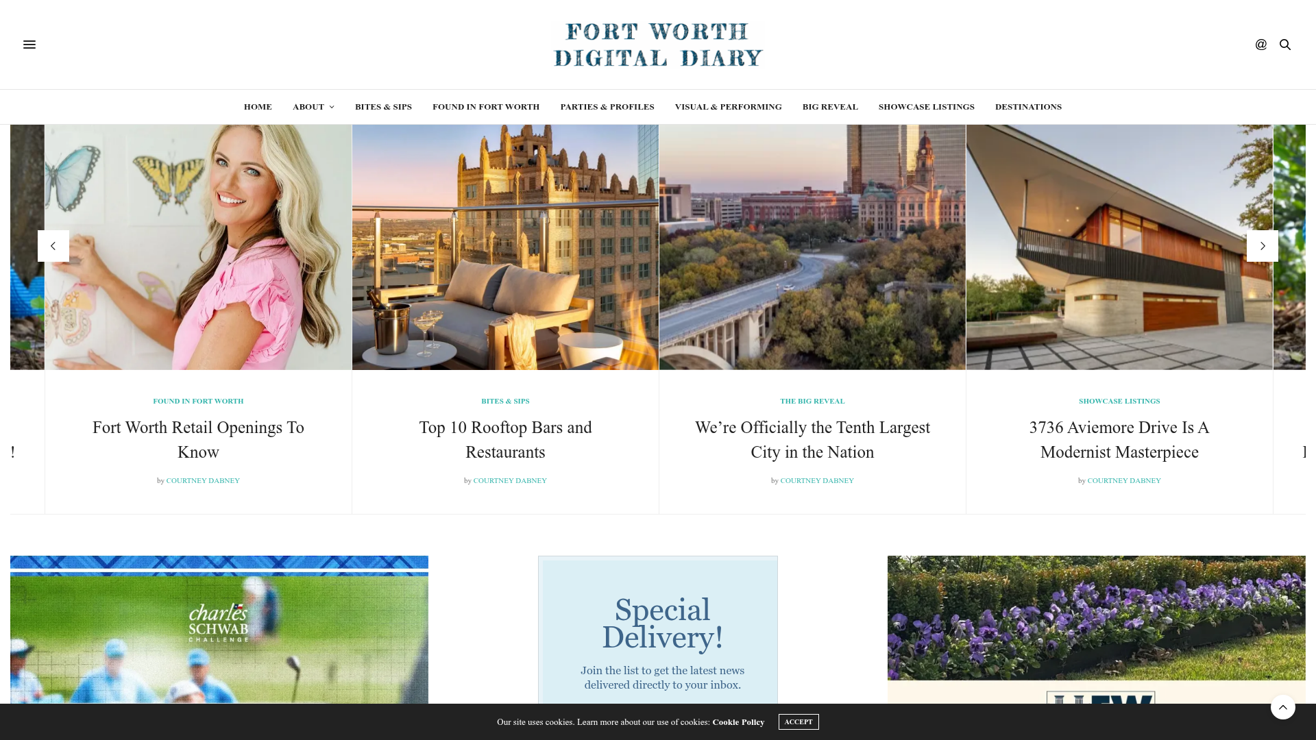Fort Worth Digital Diary website preview